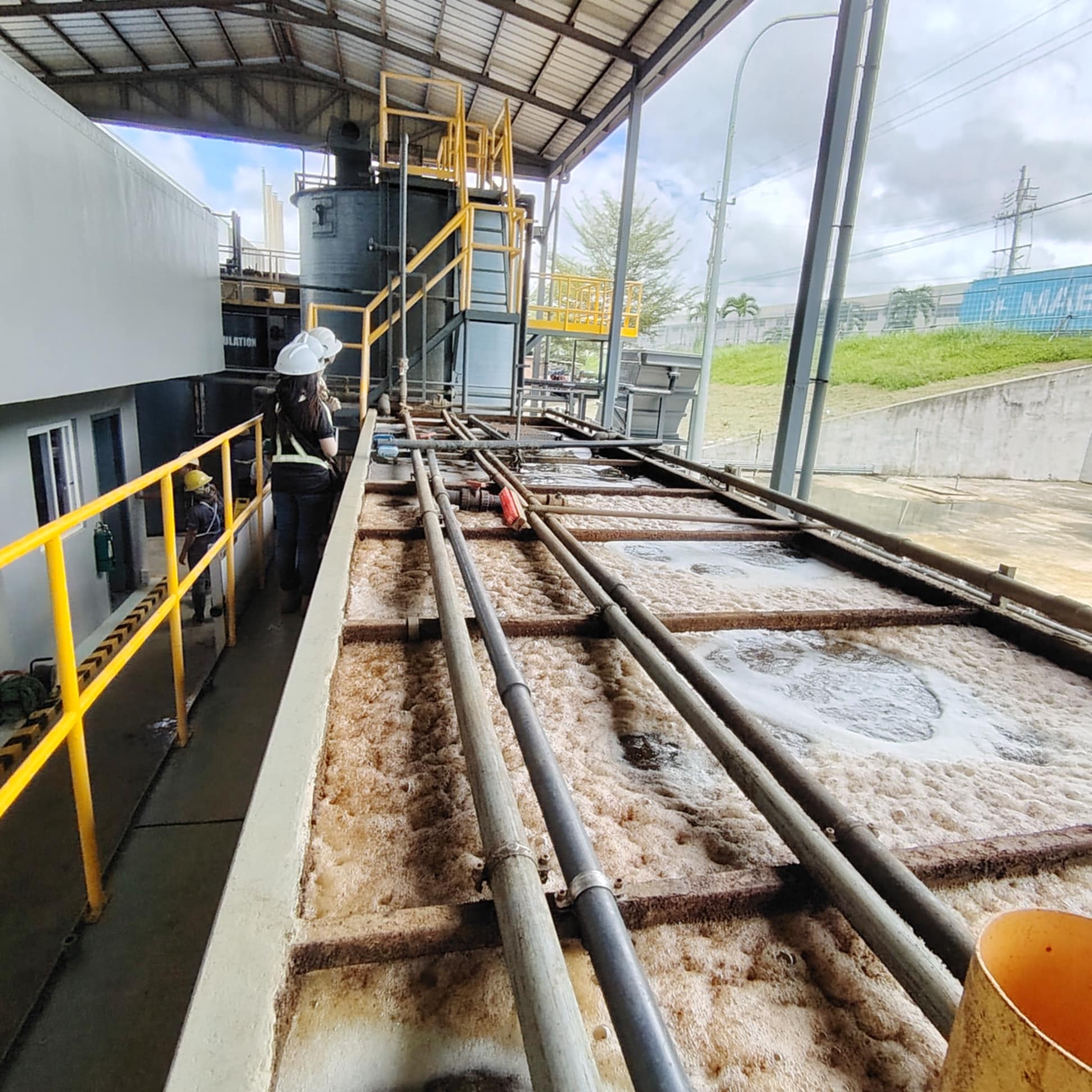 A seasoned professional inspecting water quality in a modern laboratory setting.